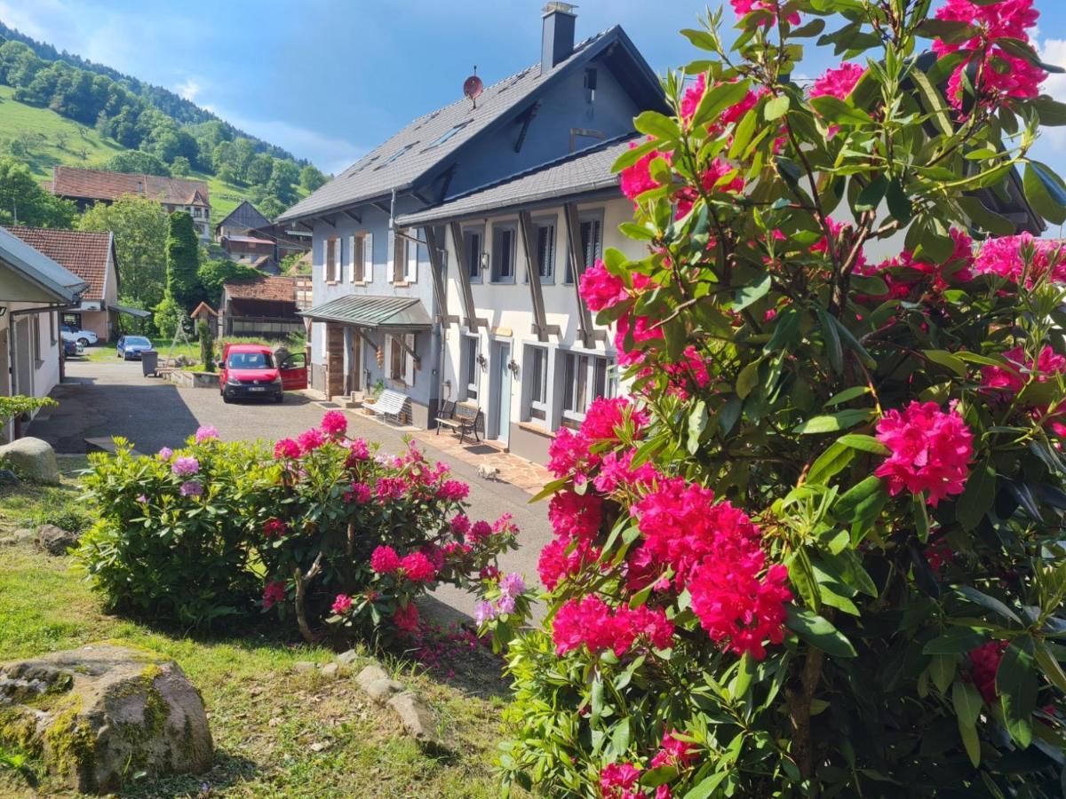 Locations Des 3 Sommets Avec Sauna Et Spa En Alsace Sondernach Buitenkant foto