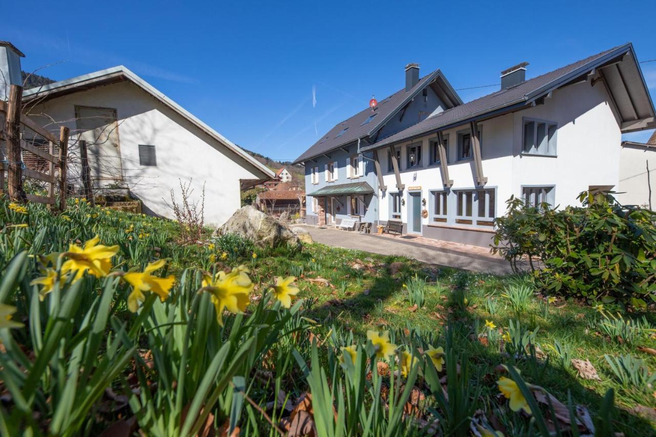 Locations Des 3 Sommets Avec Sauna Et Spa En Alsace Sondernach Buitenkant foto