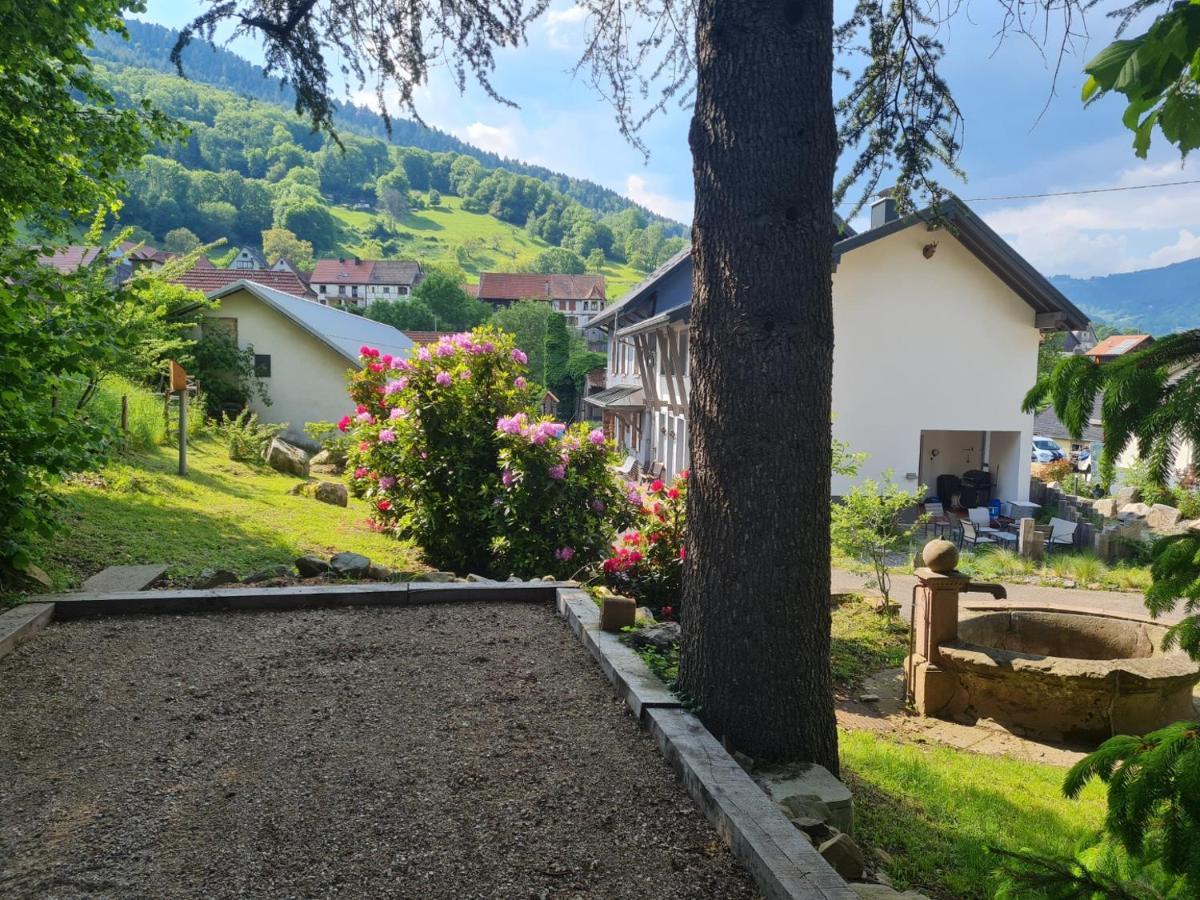 Locations Des 3 Sommets Avec Sauna Et Spa En Alsace Sondernach Buitenkant foto