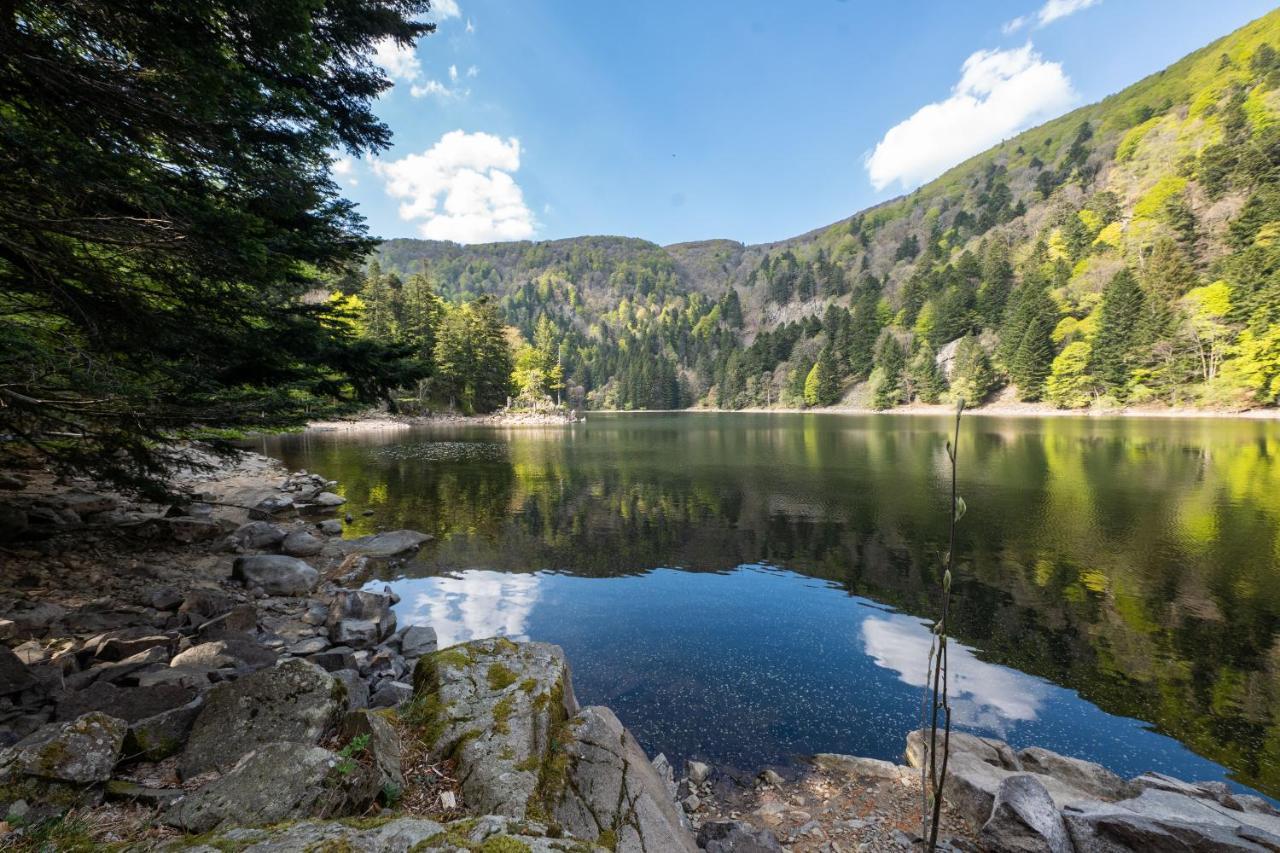 Locations Des 3 Sommets Avec Sauna Et Spa En Alsace Sondernach Buitenkant foto
