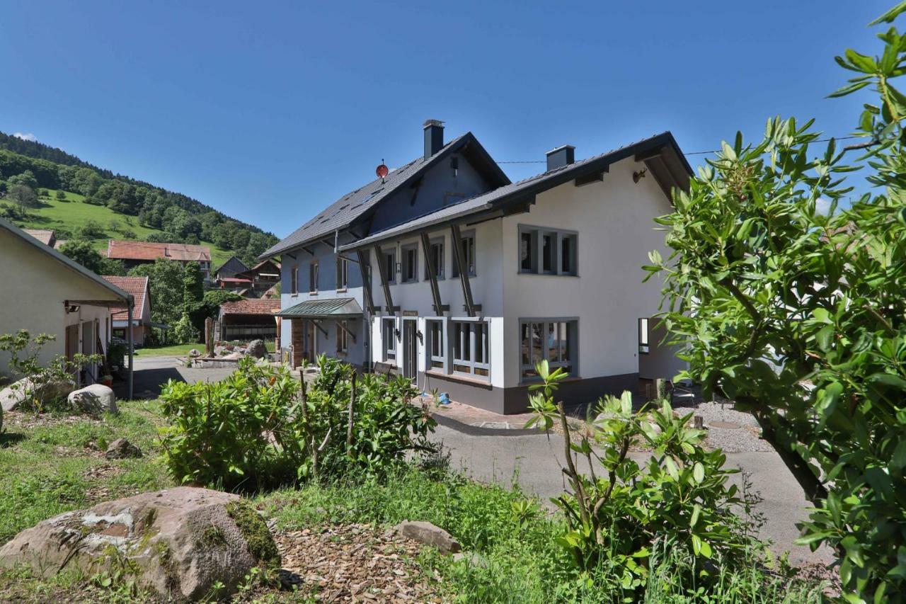 Locations Des 3 Sommets Avec Sauna Et Spa En Alsace Sondernach Buitenkant foto