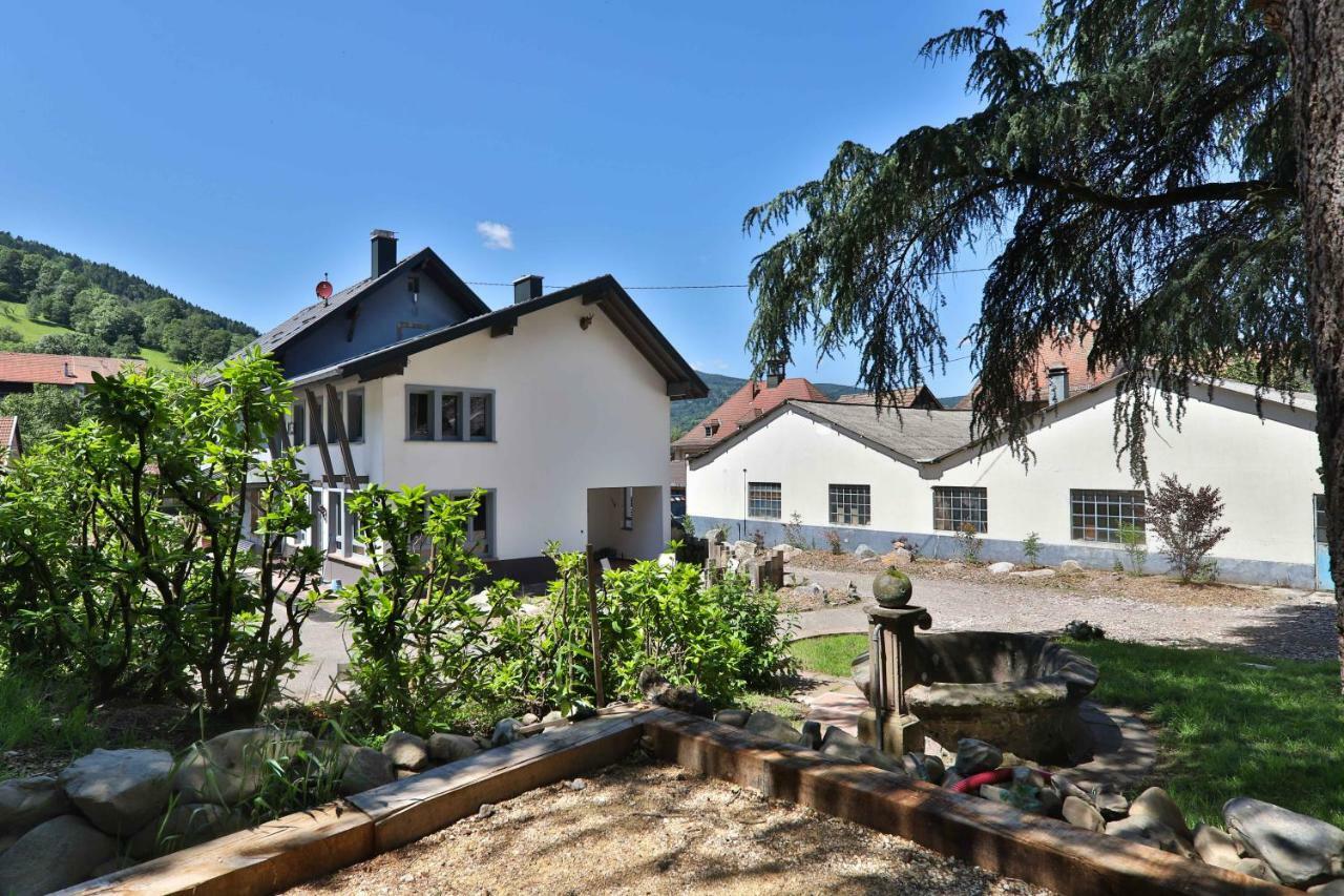 Locations Des 3 Sommets Avec Sauna Et Spa En Alsace Sondernach Buitenkant foto
